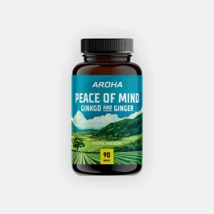 GINKGO BILOBA & GINGER 90 kapslí