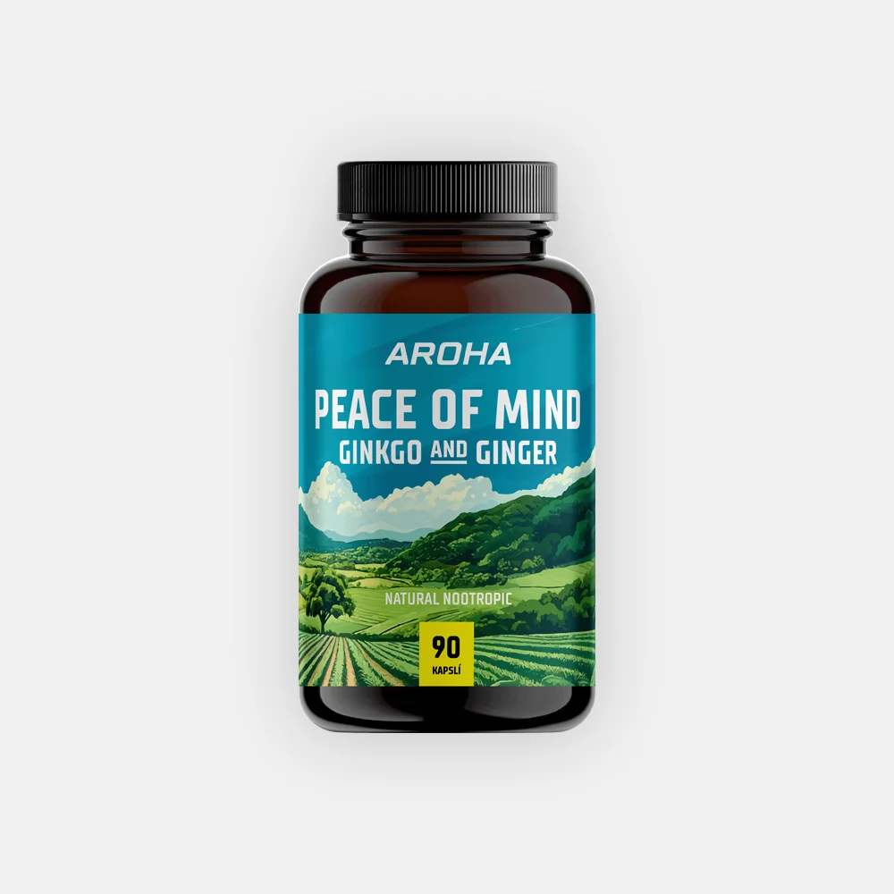 GINKGO BILOBA & GINGER 90 kapslí